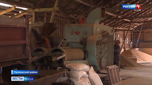 Сотрудники предприятия «Псковские Нивы» возрождают льноводство смотреть онлайн