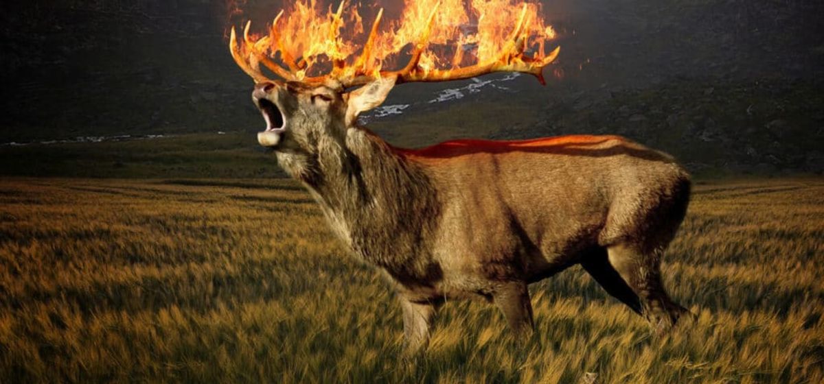 А рога Горят????? #дальнобой #дальнобойщики #дальнобойщик #двигатель #фура смотреть онлайн