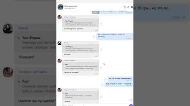 Чат для птицеводов в вайбере смотреть онлайн
