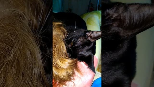 чмокает во сне смотреть онлайн