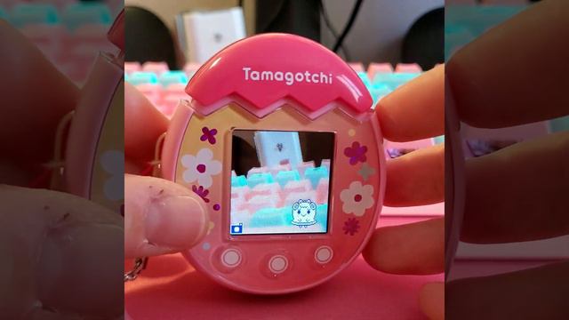 Tamagotchi Pix first hands on смотреть онлайн