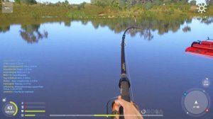 Трофейная Белуга Каспийская 570кг Русская Рыбалка 4  / Russian Fishing 4 Trophy Beluga 570kg