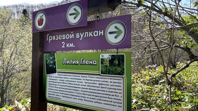 Грязевой вулкан на Сахалине. Тоннели эпохи Карафуто - время правления Японии на Сахалине смотреть онлайн