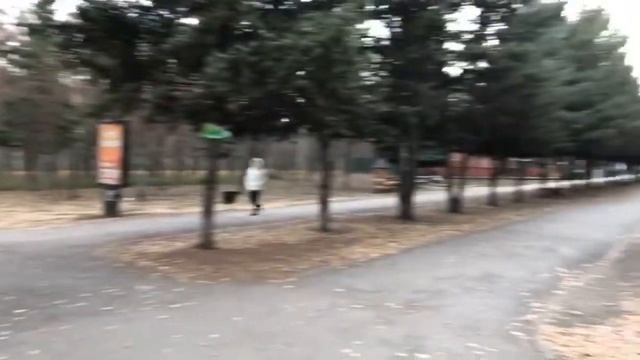 #Липецк. Очень холодно. Ветер с порывами.без снега. 23.11.2018 смотреть онлайн