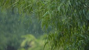 МАТРИЦА ГАРЯЕВА ПСИХИЧЕСКОЕ ЗДОРОВЬЕ I Human mental health Matrix