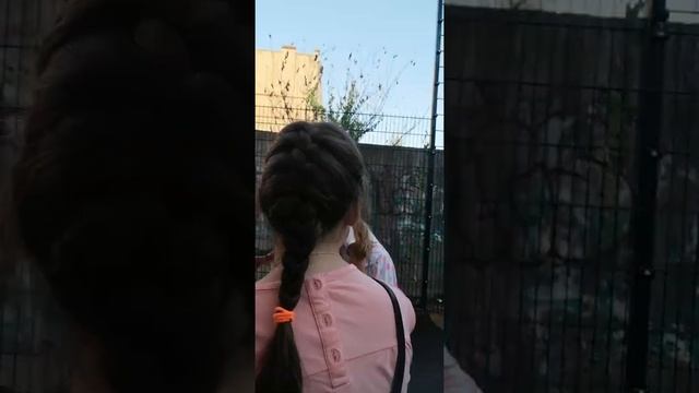 Пениборт смотреть онлайн