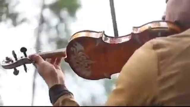 Lost on You ( Versión violín) LP смотреть онлайн