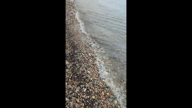 Перегон авто из Владивостока. Наше путешествие из Владивостока в СПб смотреть онлайн