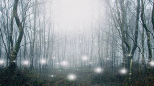 Thaneco & Hillman - The Orbs Of Light смотреть онлайн