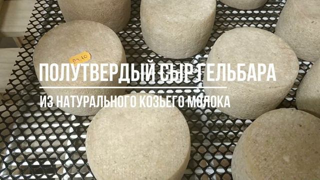 Сыр Гельбара купить в Москве с доставкой смотреть онлайн