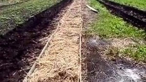 Посадка картофеля в борозду под сено