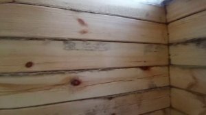 СТРОЮ БАНЮ .часть 3 .  Подшиваю потолок .