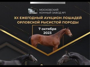 ХХ Ежегодный аукцион лошадей Орловской Российской породы