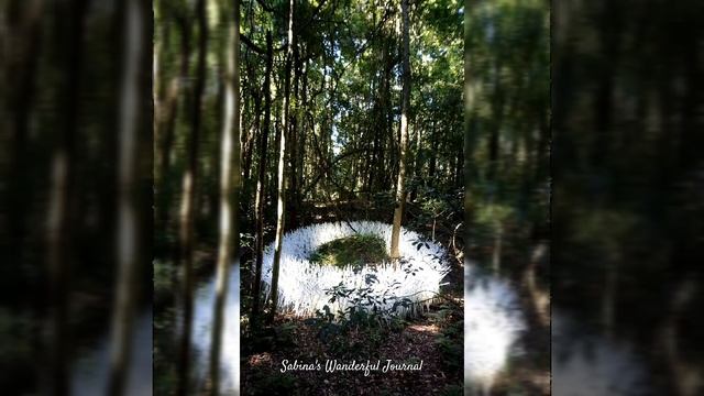 NEW SOUTH WALES, AUSTRALIA || Sydney, Blue Mountains, Central Coast смотреть онлайн