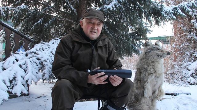 охота на волка на вабу с Даулетом Джакипоаым смотреть онлайн