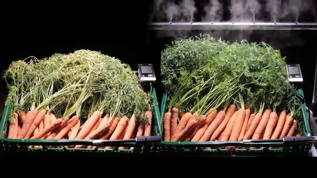 Работа системы ультразвукового увлажнения Contronics смотреть онлайн