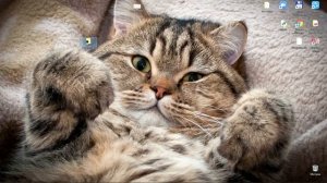 #1. Введение и установка всего необходимого | Telegram bot | PyTelegramBotAPI | Telebot