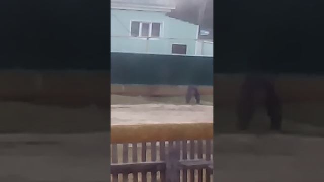 Вова идёт домой)))уставший с работы смотреть онлайн