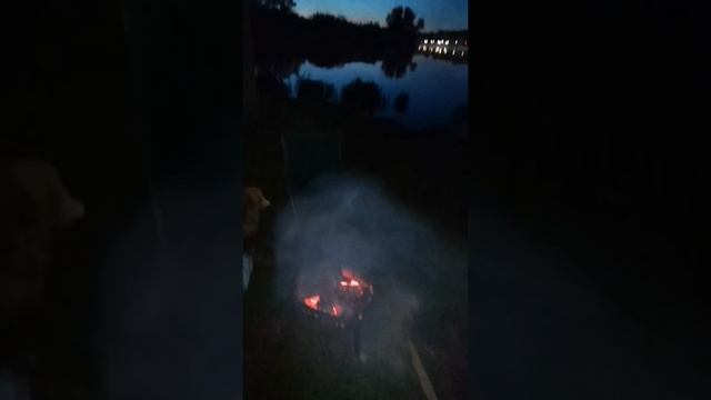Рыбалка на Полесском канале и на Дейме смотреть онлайн