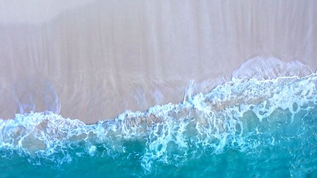 THE BEST OF BAHAMA/Bimini 2020 смотреть онлайн