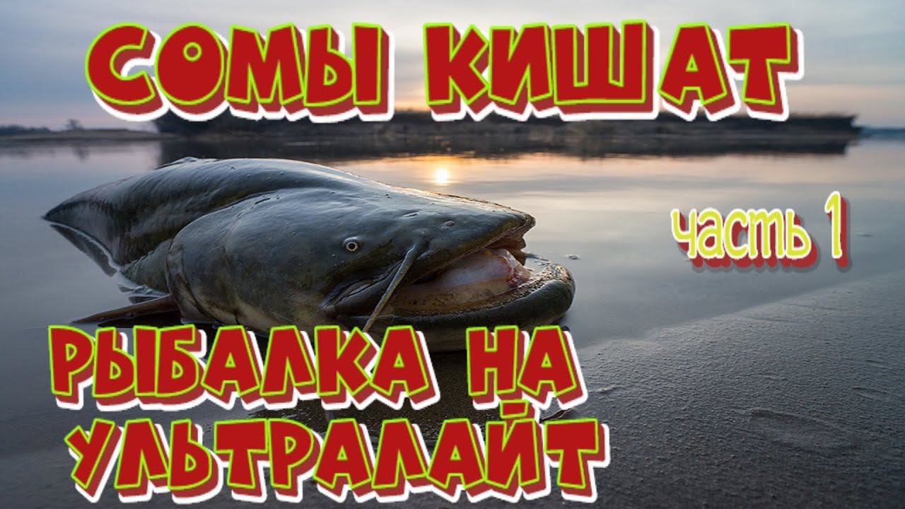 Сом Рыбалка на УЛЬТРАЛАЙТ 2020. часть 1 смотреть онлайн