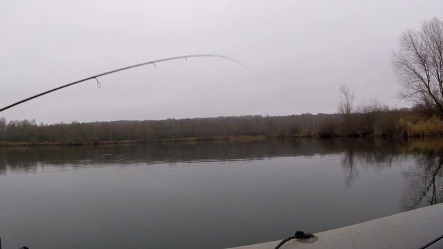 Раттлин Jackall TN70 TRIGON в работе!