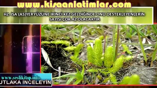 Hz. İsa Şu Anda Dünyada, Nerede Yaşıyor? смотреть онлайн