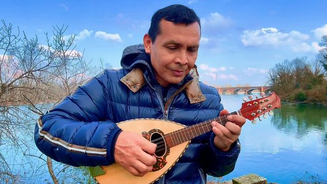 SOS d"un terrien en detresse - Mandolin cover смотреть онлайн