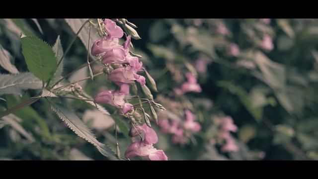 Canon EOS M's EF-M 18-55mm F3.5-5.6 IS STM Lens Test