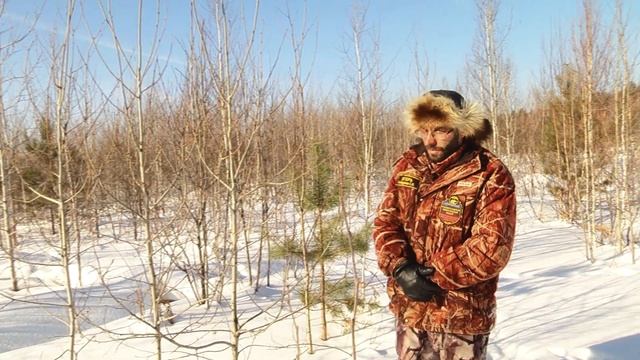 "Следопыт" - Как искать животных по следам зимой смотреть онлайн