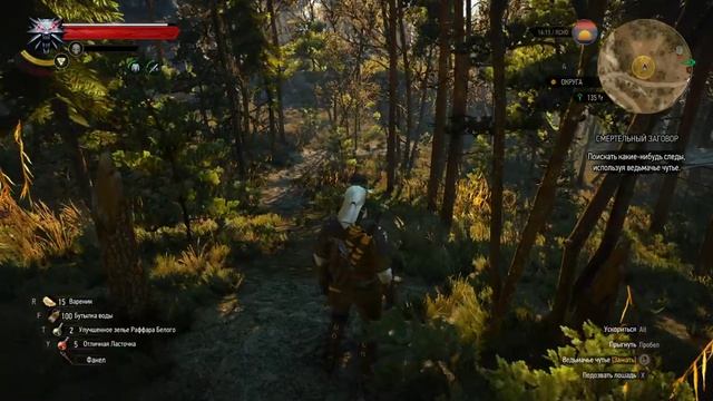 The Witcher 3 (Ведьмак 3). Смертельный заговор. Прохождение смотреть онлайн