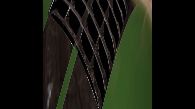 Ford Mustang Shelby GT500, 2024