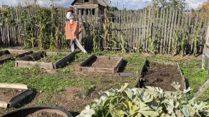 Моя заброшенная дача. Дачные будни. Убираю грядки. #дача