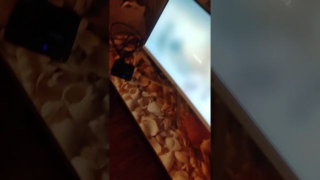 Monitor i Pristavka смотреть онлайн