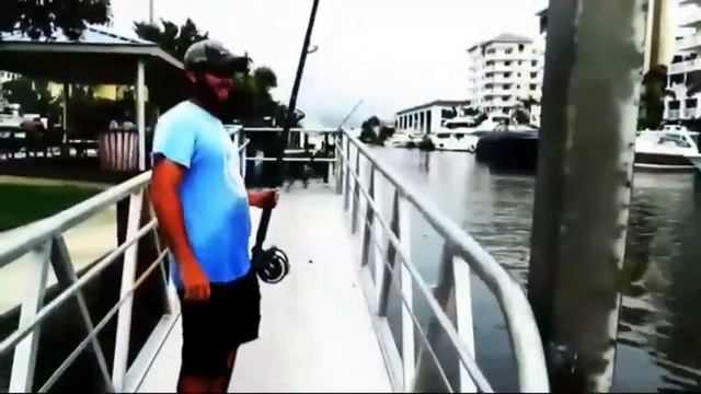 ИН МОХИ ХАСТ Ё ИНКИ ДИНАЗАВР AZAM BLOG ??