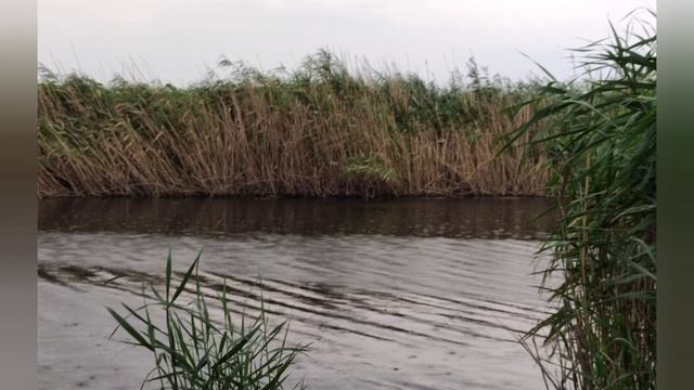 Прекрасная музыка со звуками природы для медитации, глубокого сна, учебы, релаксации. смотреть онлайн