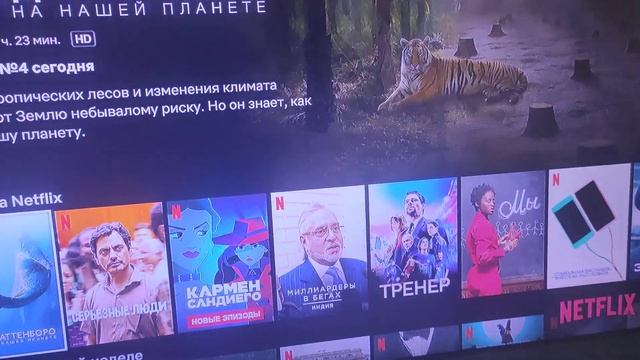 NETFLIX НА РУССКОМ ЯЗЫКЕ!!! 30 ДНЕЙ БЕСПЛАТНОЙ ПОДПИСКИ