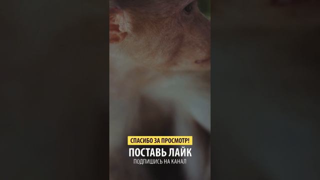 Мужчина... смотреть онлайн