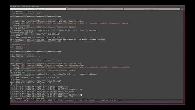 02 Jormungandr bootstrapping (Shelley self-node testnet) смотреть онлайн