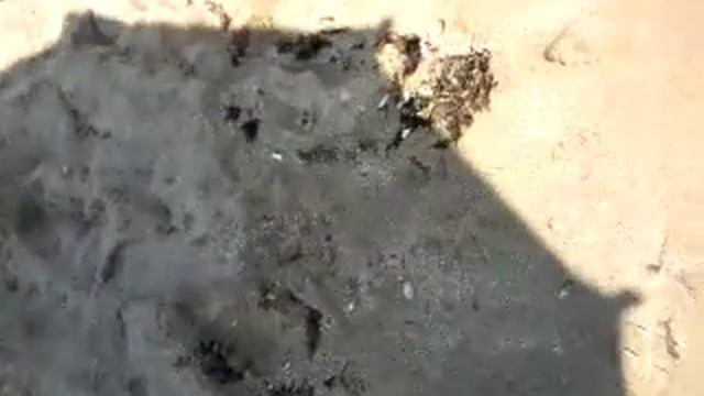 окурки на пляже Пернеры, Кипр смотреть онлайн