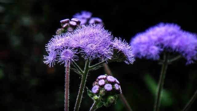 Слушать новую русскую музыку в мире онлайн