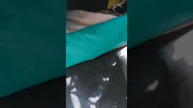 15- День 2-й. Кошка кушает и не сводит глаз с котят смотреть онлайн