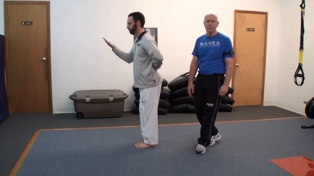 USA Taekwondo Poomsae Training Video of the Month (August 2012) Travel Adaptive Shortening смотреть онлайн