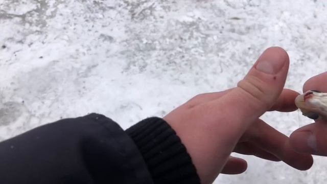 Рыбалка на ОКЕ / ВОДА УШЛА ЛЁД ПРОСЕЛ/ Последний ЛЁД на ОКЕ смотреть онлайн