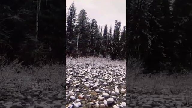 Осенняя река Кизир с видом на заснеженные горы. смотреть онлайн