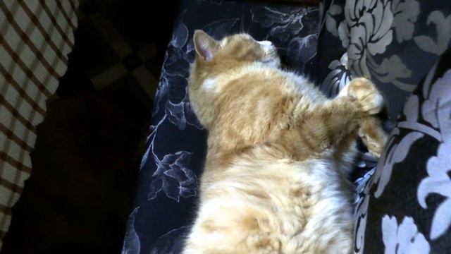 Ночь была тяжёлой.. смотреть онлайн