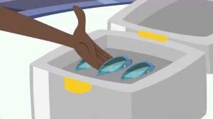 Комода дракон. Про Комодского варана. Братья Кратт: Зов Природы. Новая серия. Канал Детишки