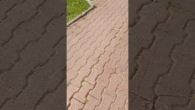 вологда очень красивый город смотреть онлайн