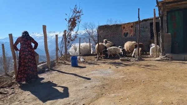 Compassionate Reconciliation: Ziba's Journey to Reuniting with Ali