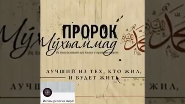 О Братя любите нашего любимого Пророка